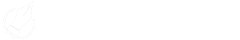 Kreativno pisanje
